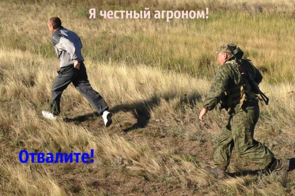 Kraken darknet зеркала кракен обход