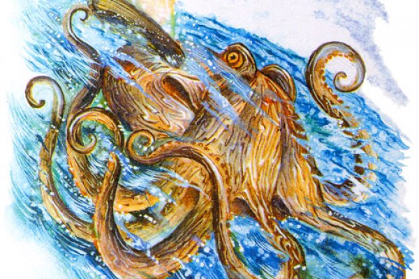 Kraken13 at сайт