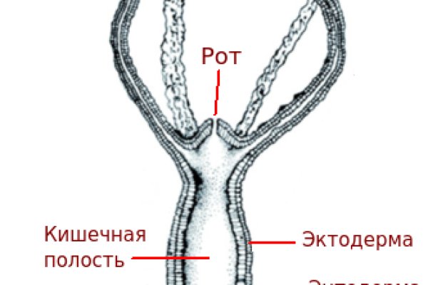 Кракен маркетплейс ссылка krakenat2krnkrnk com