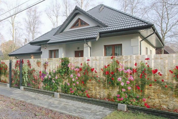 Ссылка на кракен онион