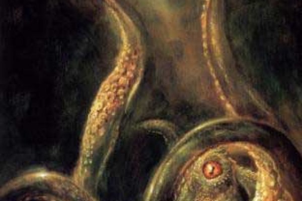 Kraken kraken link24 info