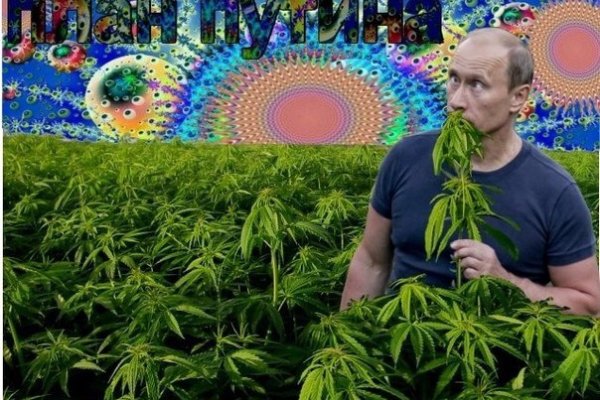 Kraken shop ссылка