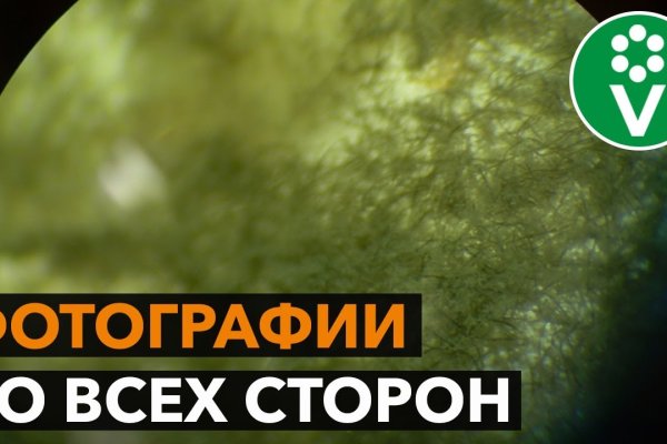 Ссылка на кракен тор браузер