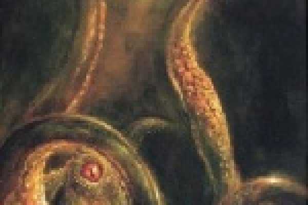 Через какой браузер можно зайти на кракен