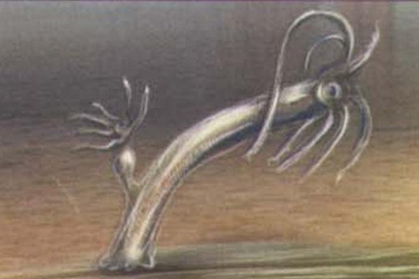 Кракен актуальные