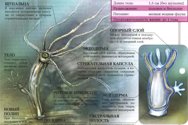 Kraken зеркало kraken dark link
