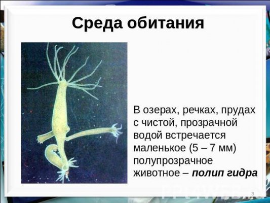 Кракен зеркало