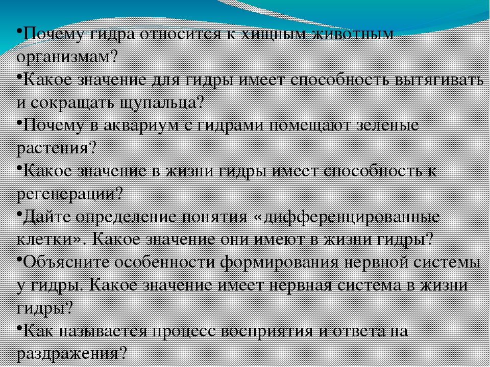 Кракен маркетплейс про
